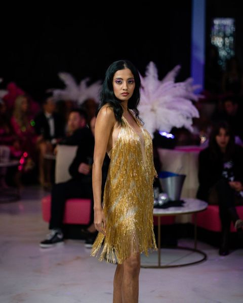 Gold Fringe Dress